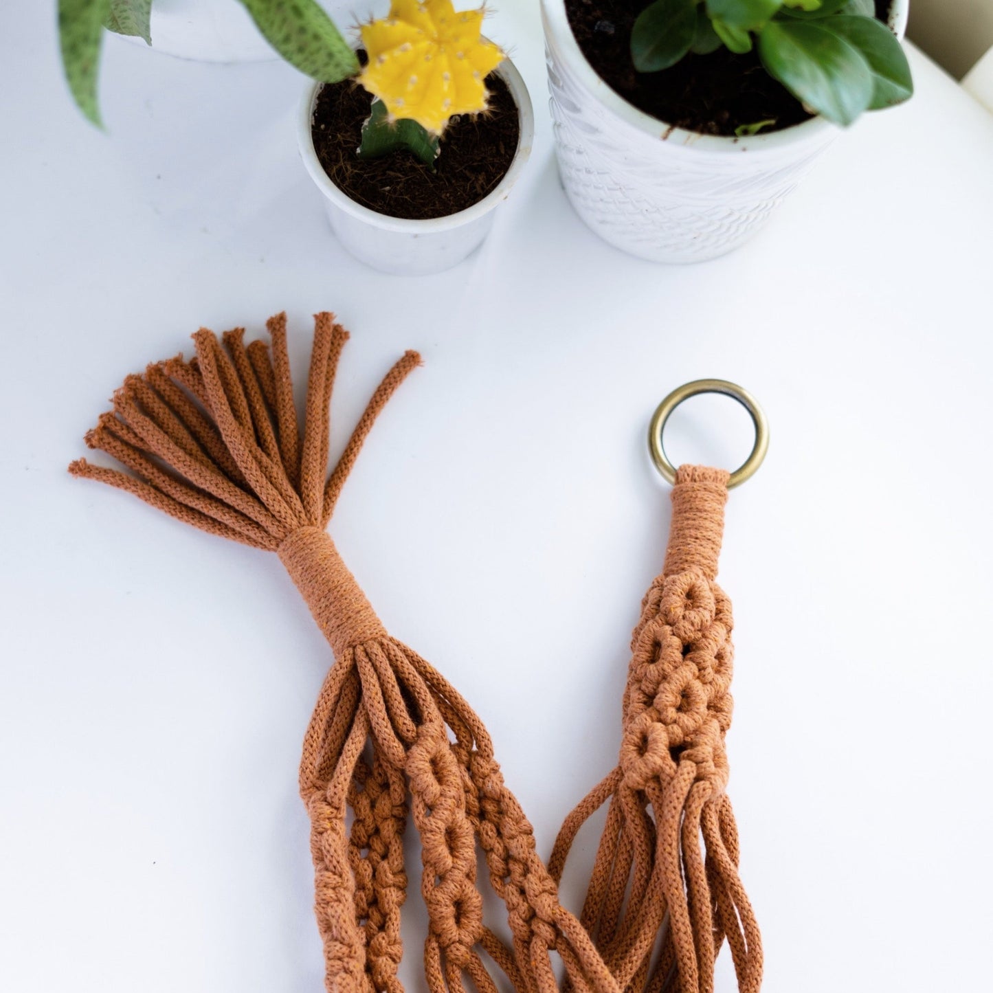 The Vintage Plant Hanger