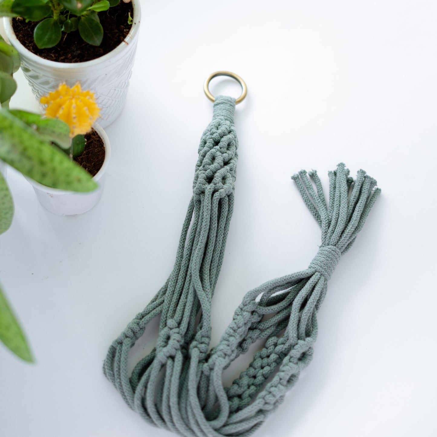 The Vintage Plant Hanger