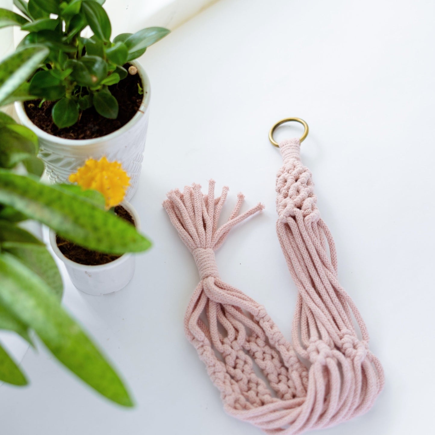 The Vintage Plant Hanger