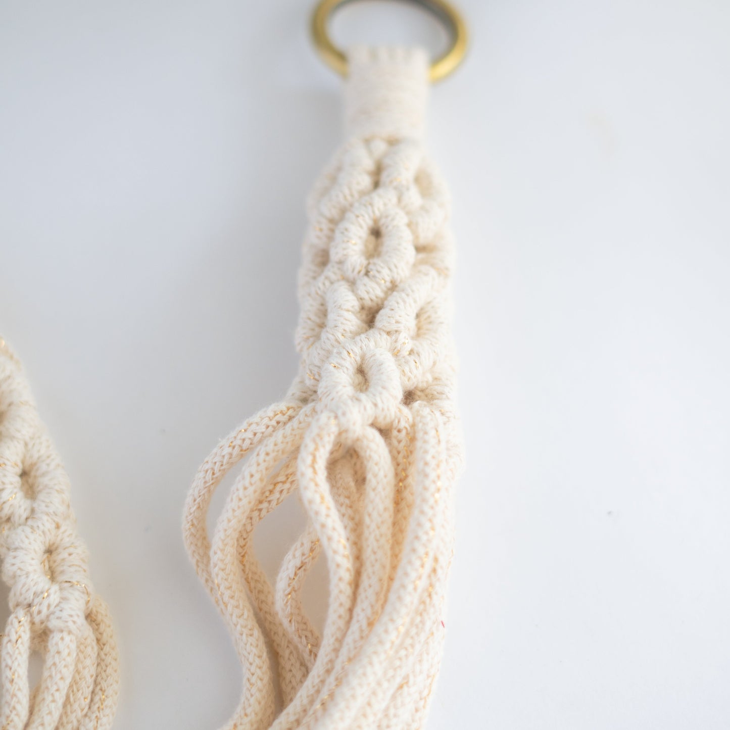 The Vintage Plant Hanger