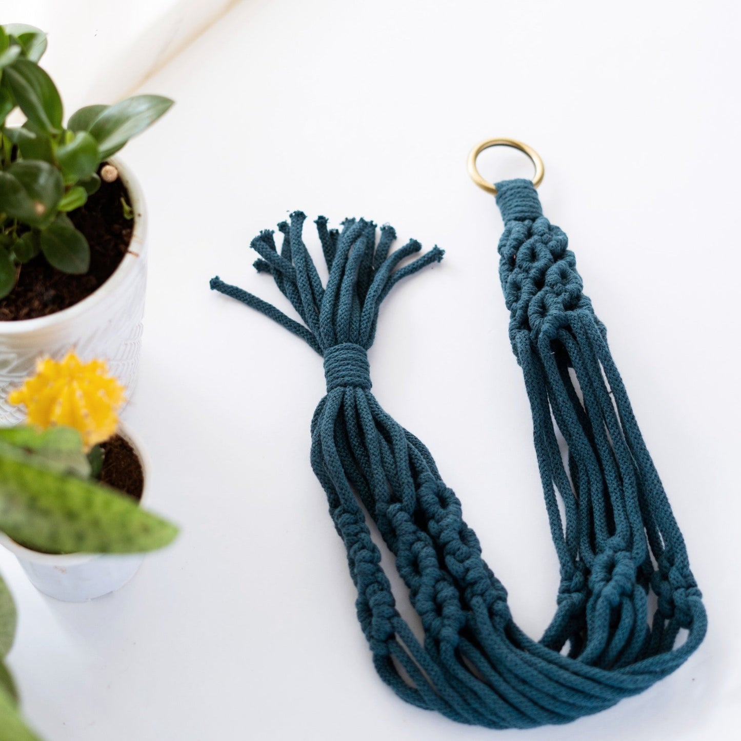 The Vintage Plant Hanger